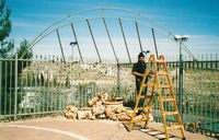 shearim_002